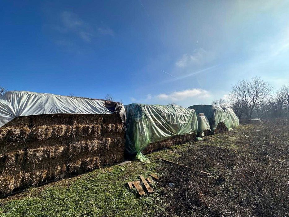 Vând baloți de iarbă și lucernă 20-30 lei