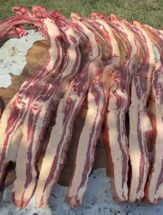 Мясо канины | халал ет