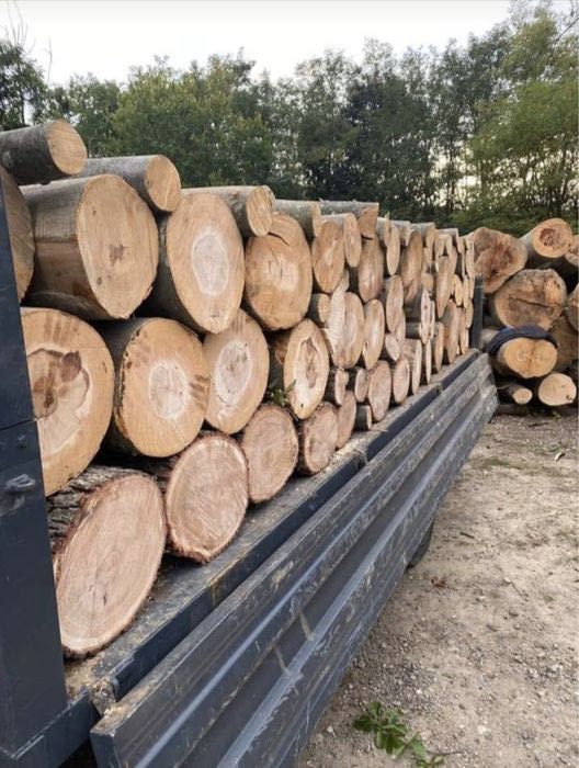 Lemn de foc cu transport la domiciliu GRATUIT