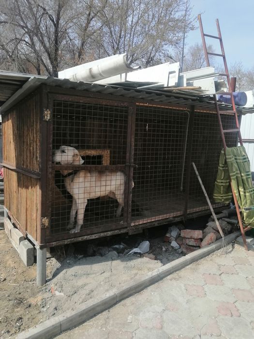 Продам вольер...