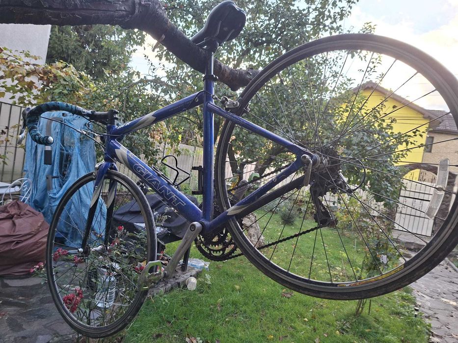 Giant OCR Compact Road