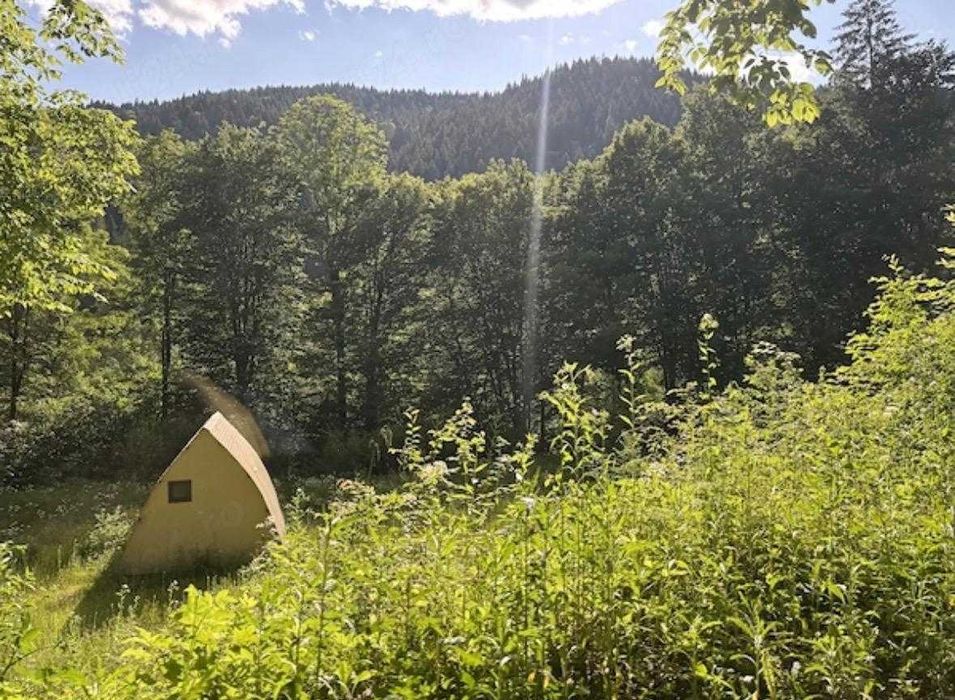Teren munte, Brates- Tarcau- Piatra Neamt, teren cu o cabanuta