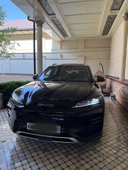 Byd chempion 23  605kv