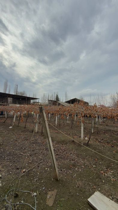 7 сотих ер сотилади