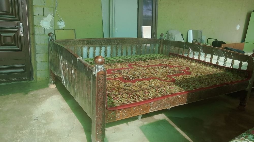 Suri karvat yangi