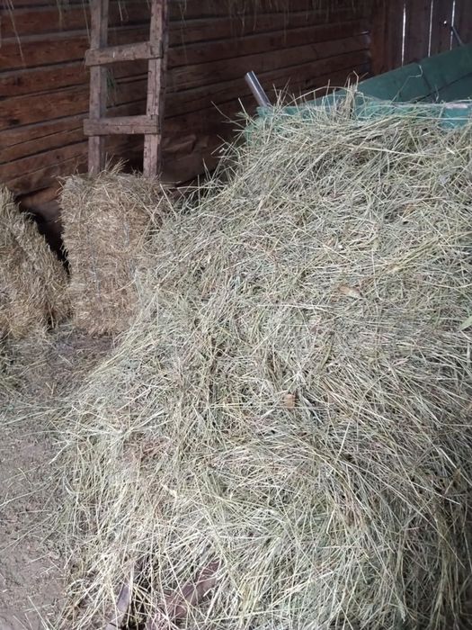 Fân si baloti de vanzare