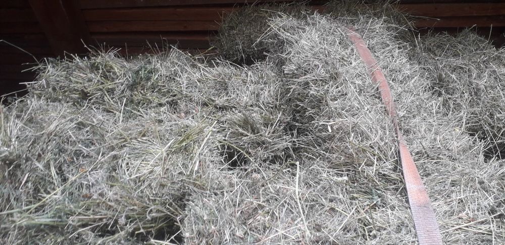 Baloti de fan si lucerna