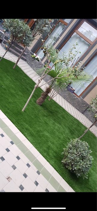 Газон искусственный (chim)