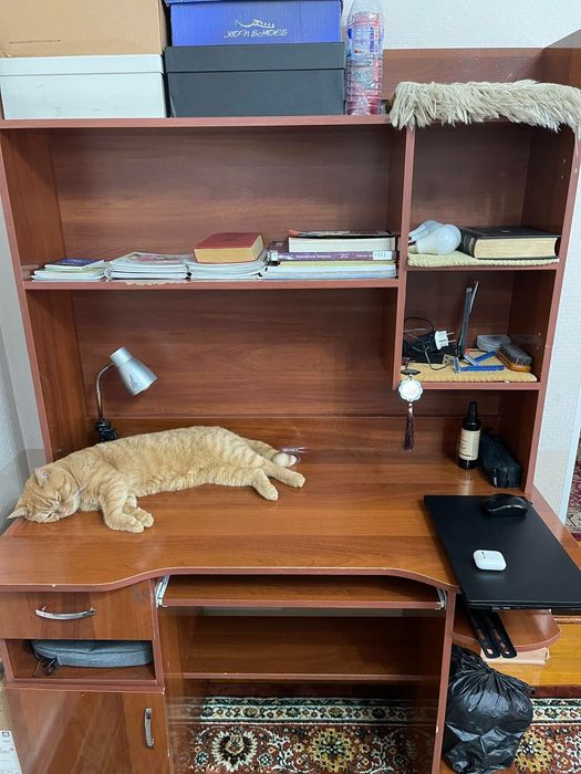 Срочно ученический рабочий стол в хорошем состоянии