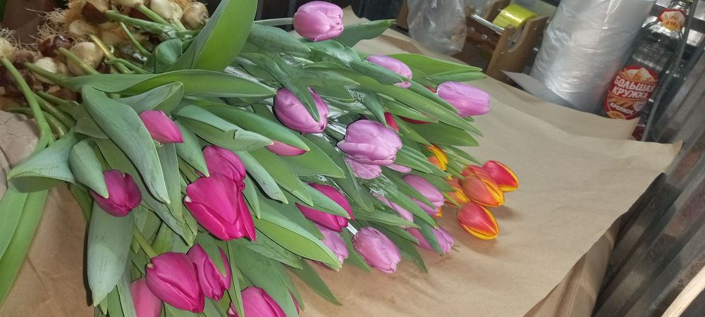 Тюльпаны на Восточке !!!