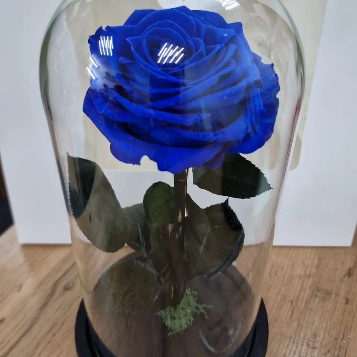 Цветы розы не вянут