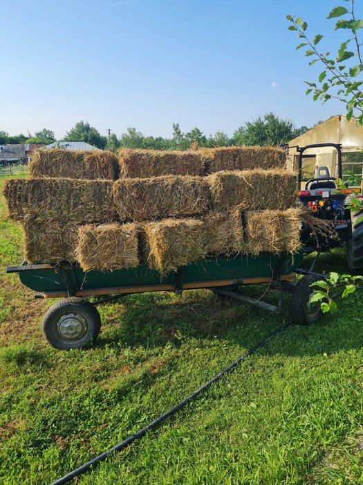 Vând baloți lucernă, fân