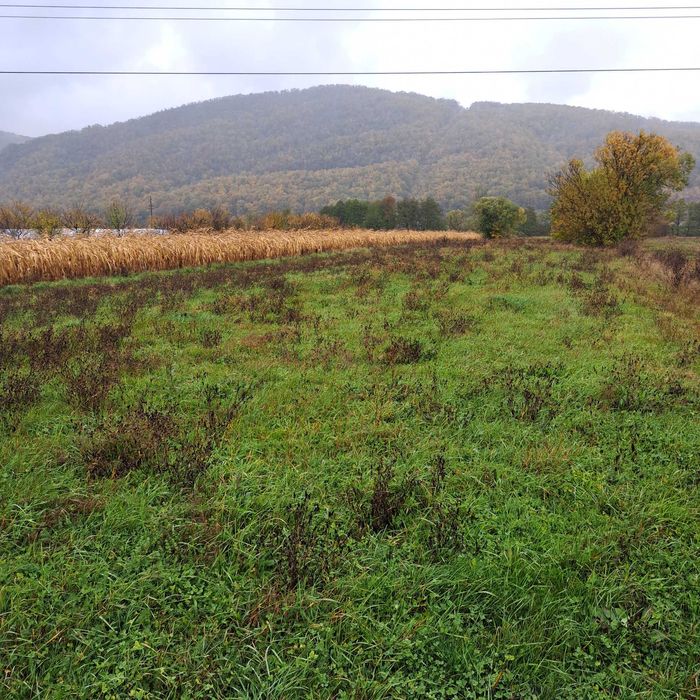 Vând teren Șuncuiuș