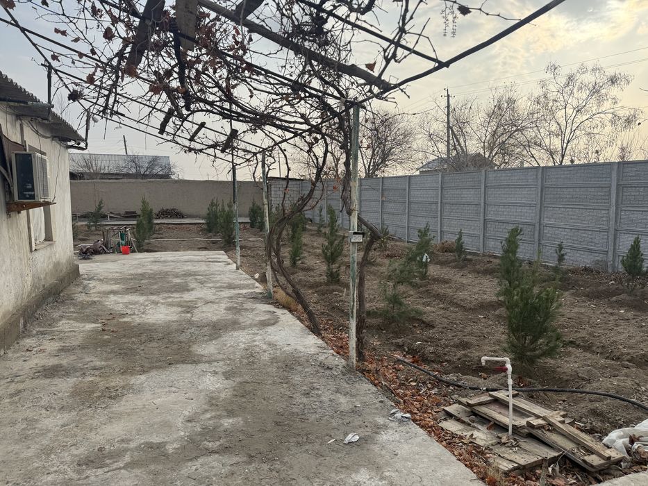 Dala hovli sotiladi. Dacha vasxoddan