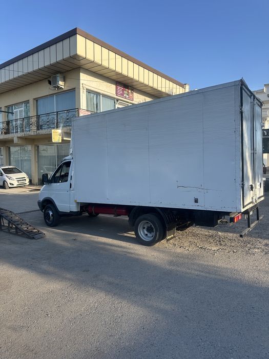 Газел сотилади холвти йахши минишга тайор