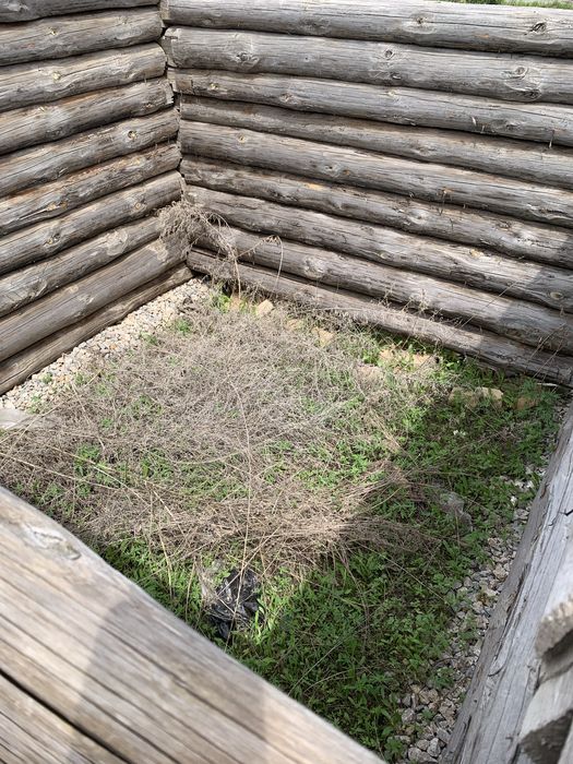 Бревна для бани.