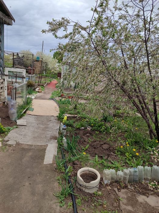 Продам дачу в обществе Колос