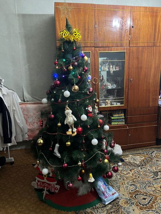 Елка новогодняя 170 см