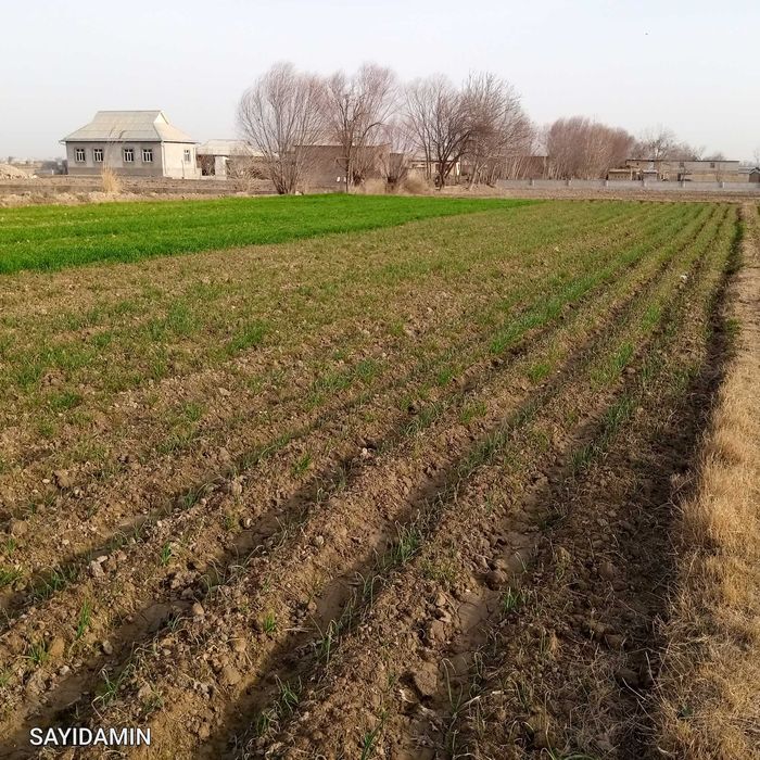 17 Sotix yer qulay joyda