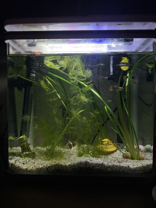 Акриловый аквариум