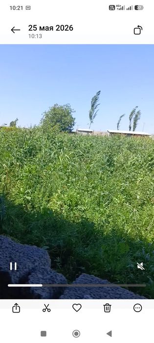 Янгийул ИСЛОХАТ да 25 сутих кадастрли турар жой сотилади