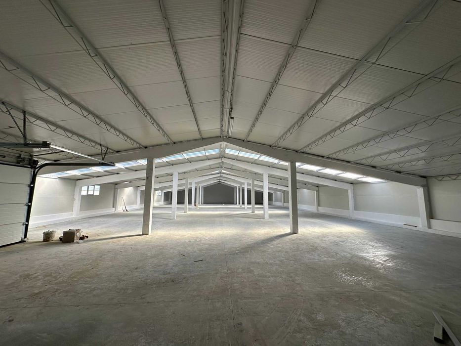 Hala industriala de vanzare in Palota