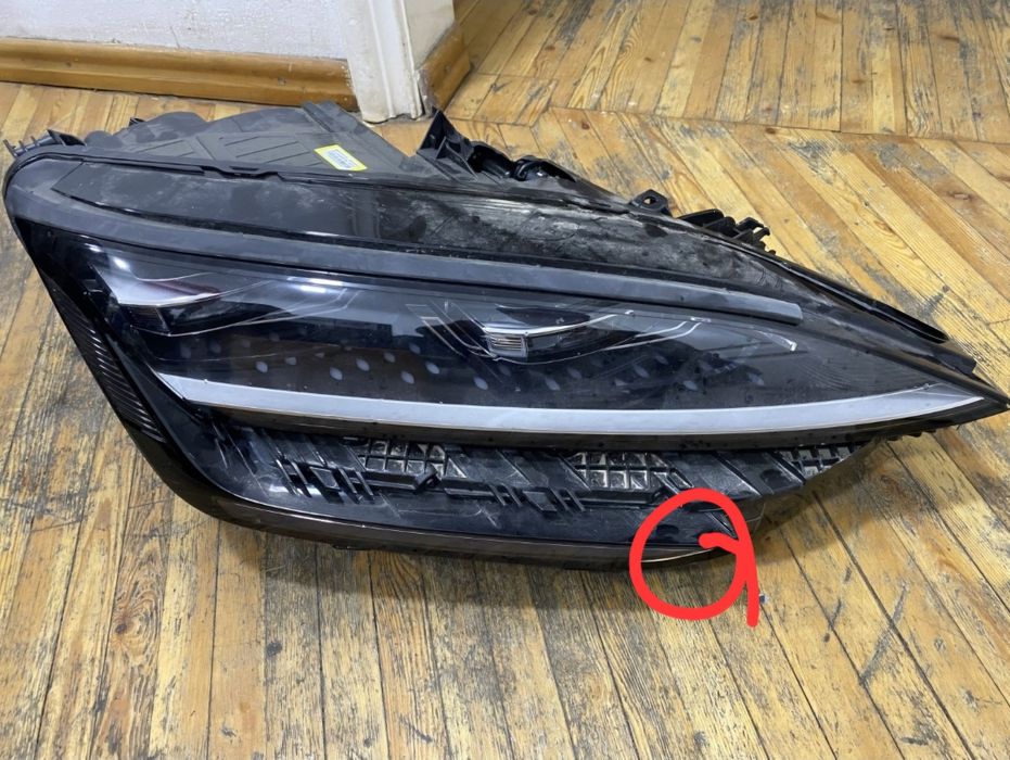 Byd champion 2025 o'ng taraf farasi