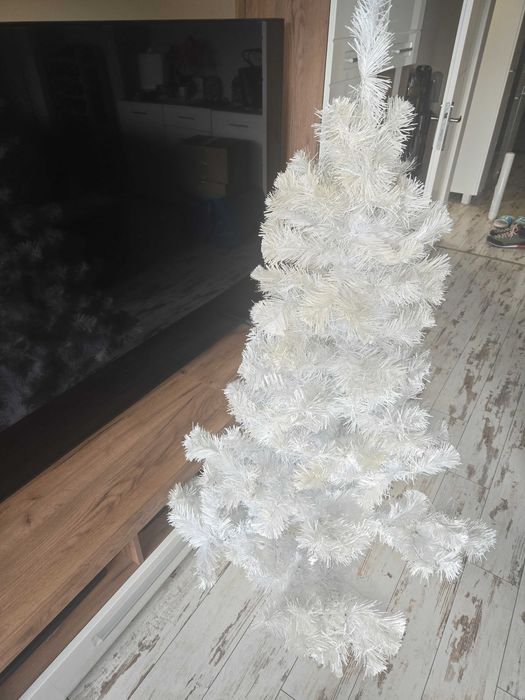 Елха бяла 150 см. за 20 евро