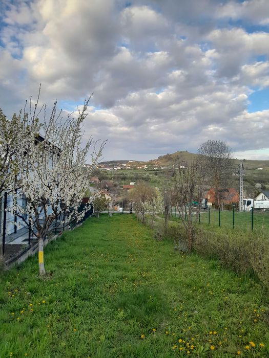 Vand teren intravilan Salicea 300 metri patrati