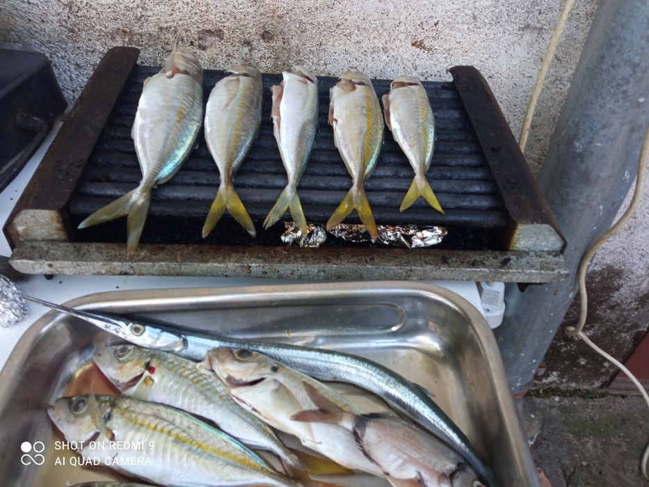 Пилкер джиг,pilker jig риболов