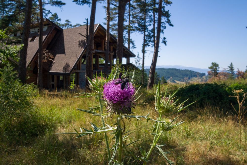 Обектив Sigma 19mm F2.8 DN e-mount (Sony Nex , Alpha )