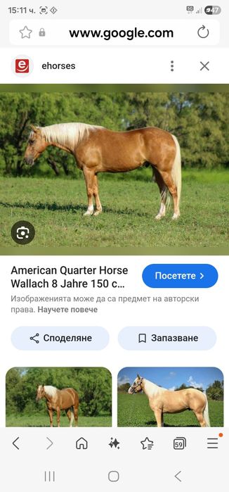 Карета каляска каруца файтон маратон кон кобила пони