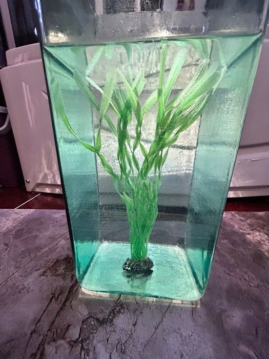 Аквариум 20 литров