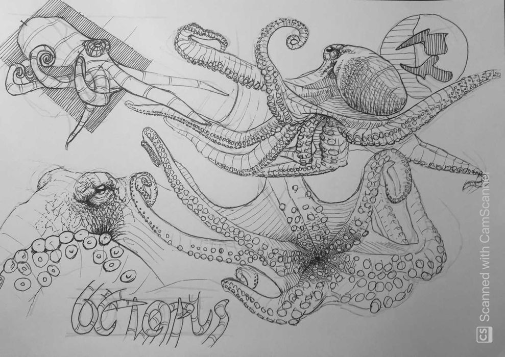 Meditații Desen, Artă și Arhitectură (Admitere & Hobby)