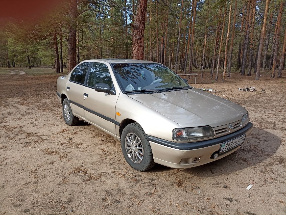 Nissan Экибастуз: купить Ниссан, авто бу с пробегом на автобазаре OLX.kz  Экибастуз