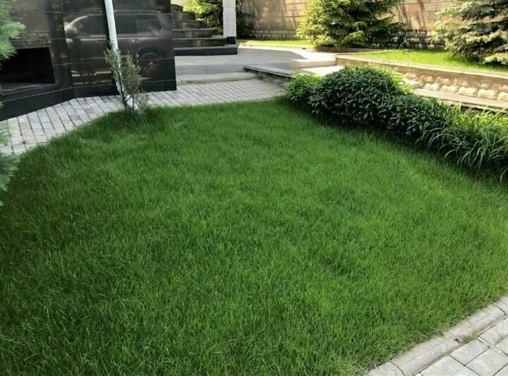 Автополив Газон Водапад Ланшаф