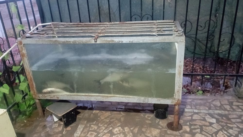 Аквариум 1 тон сув олоди ойнани калинлиги 1 см илик клитли зур