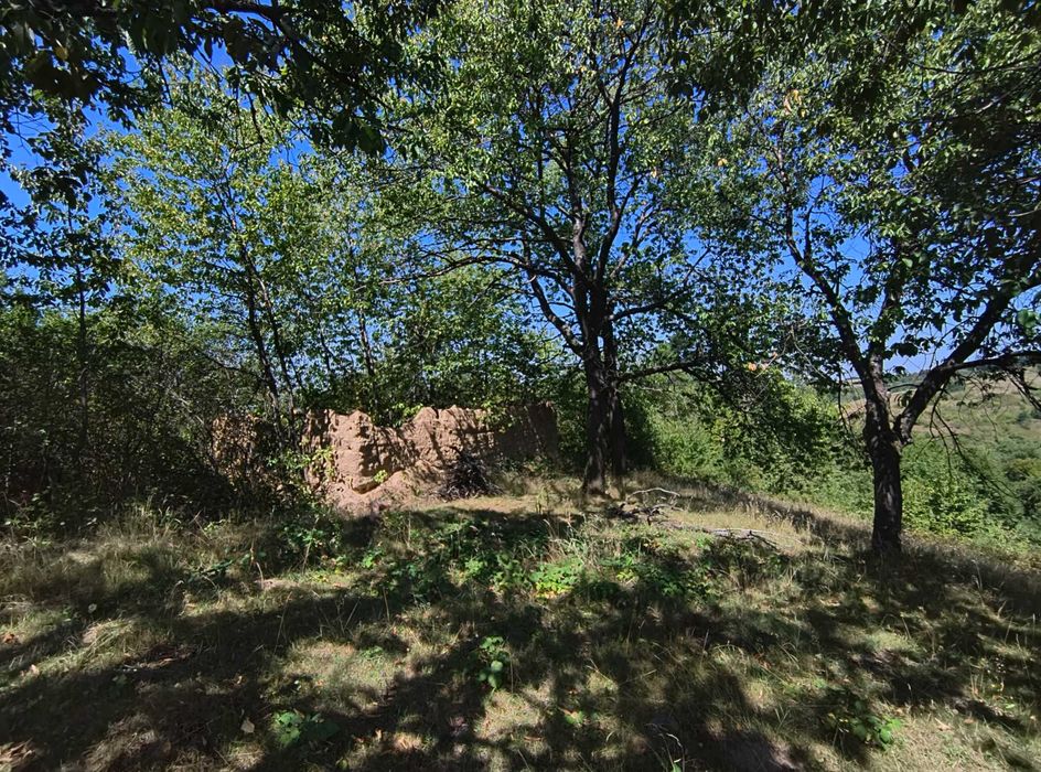 Teren 1.5 Ha în zonă de munte