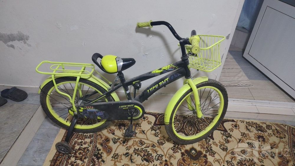 Velosiped holati zur