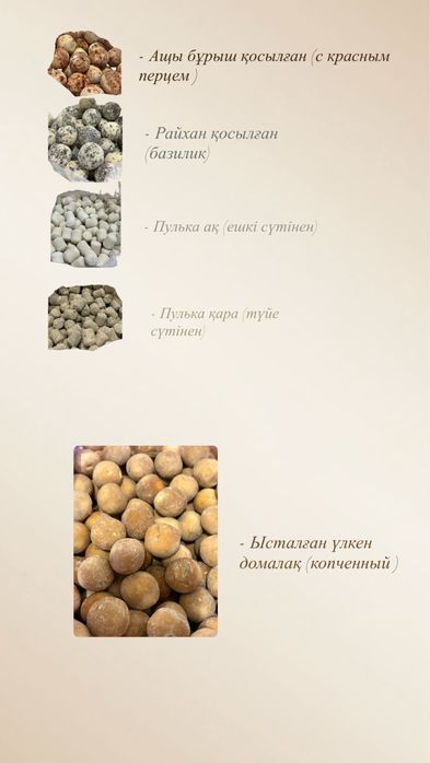 Колдын майлы курты