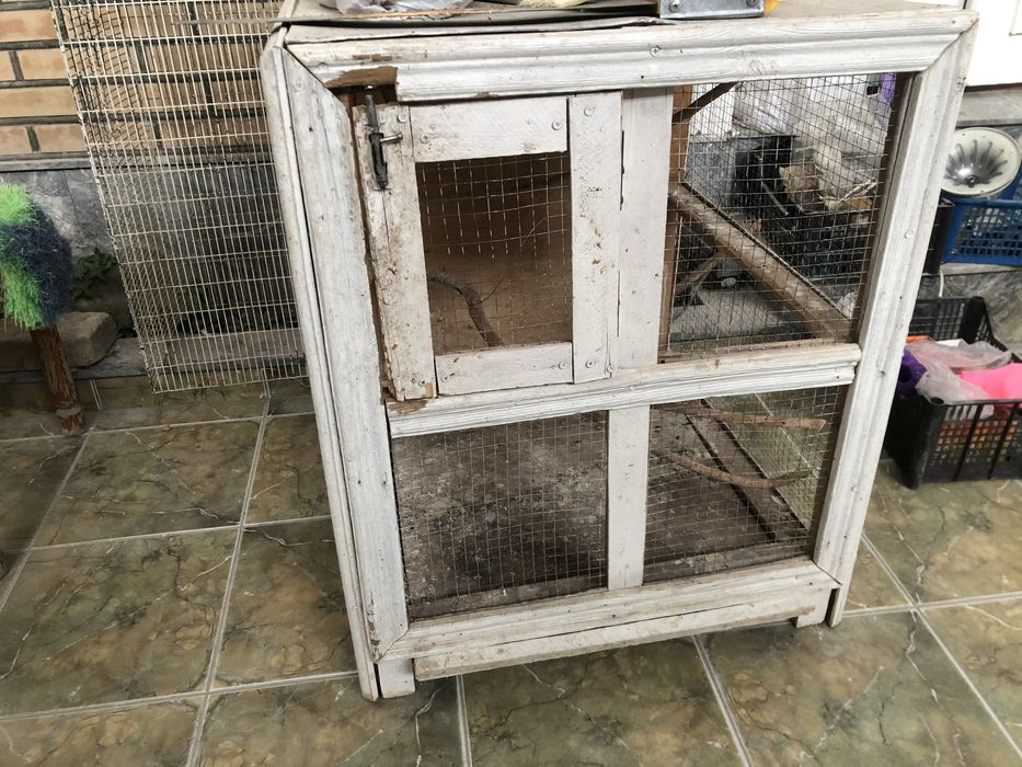 Kletka sotildi papugaylar qushlar uchun