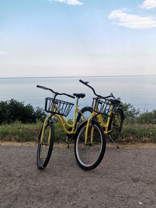 Bicicleta de oraș cu cos