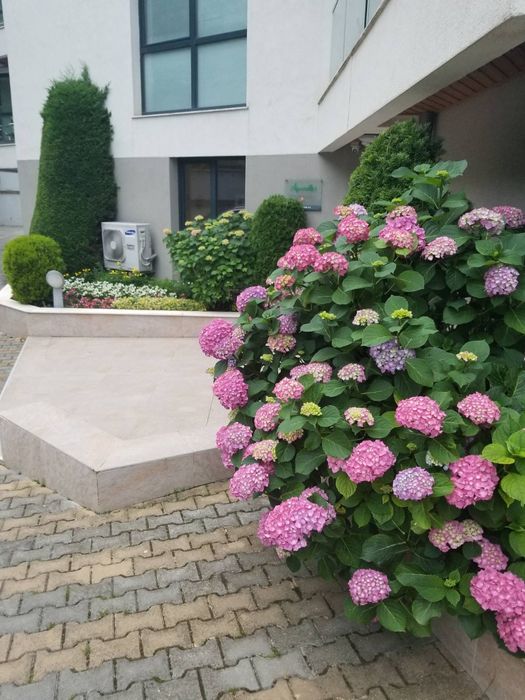 Продава се Двустаен апартамент в Варна, Бриз - 64 кв.м за 2797 €/кв.м - Снимка #12