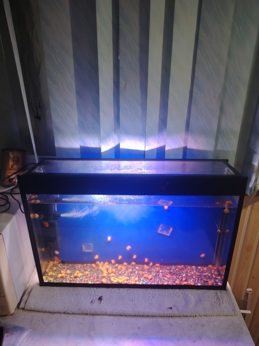 Akvarium 45Litr komplekt