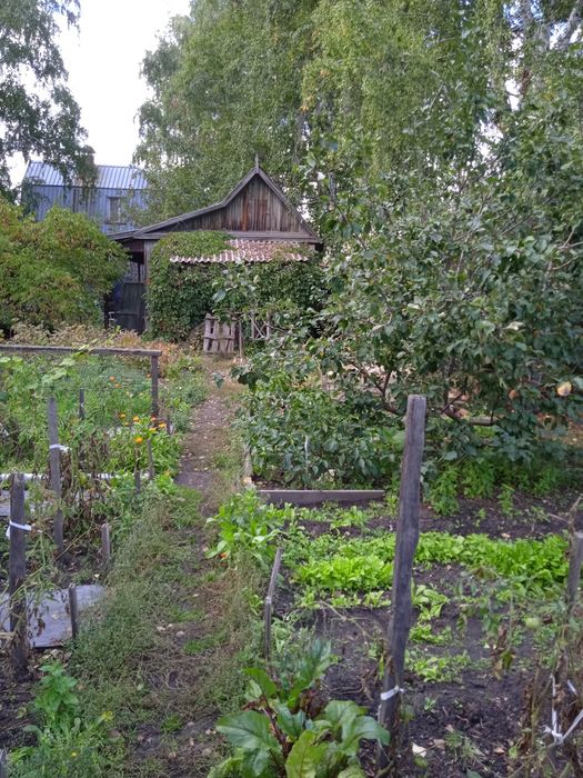 Продам дачу в обществе "Садовод"