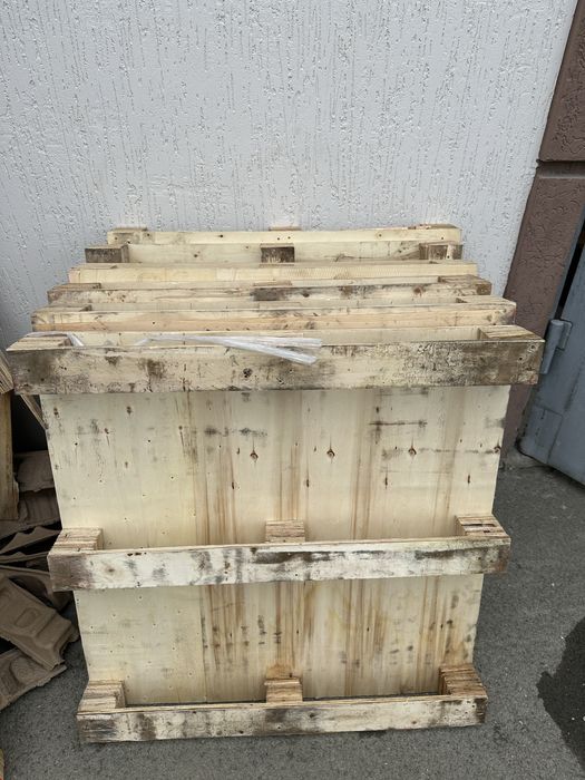 Патдон прадам  2 вида