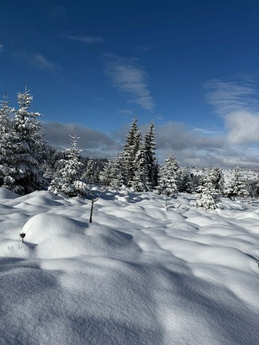 teren la munte 1000mp