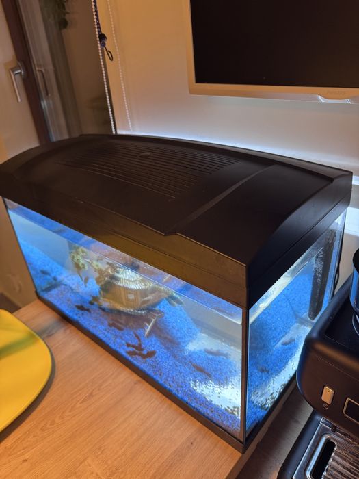 Vand kit acvariu Juwel 50l