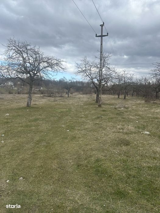 Campina - teren intravilan 4400mp - 17 Euro/mp