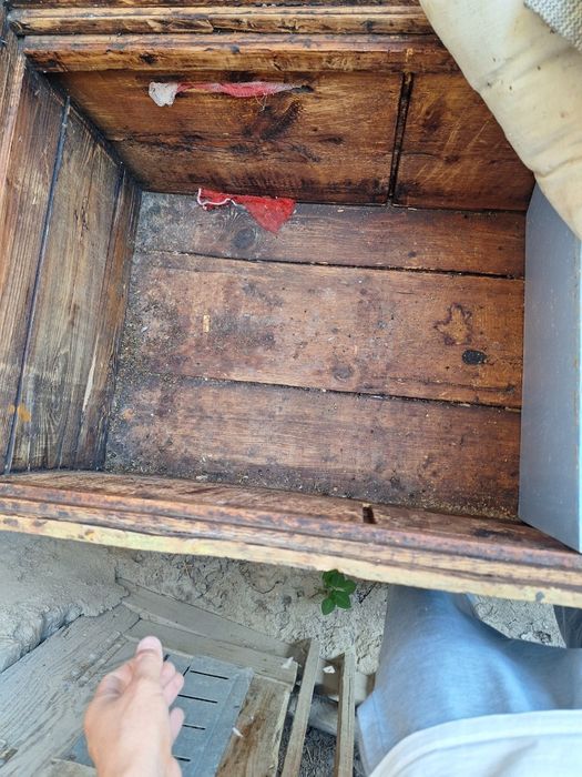 Asal ari ini 9 ta dona